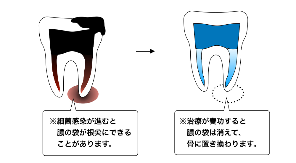 石山駅前・しらせデンタルクリニック